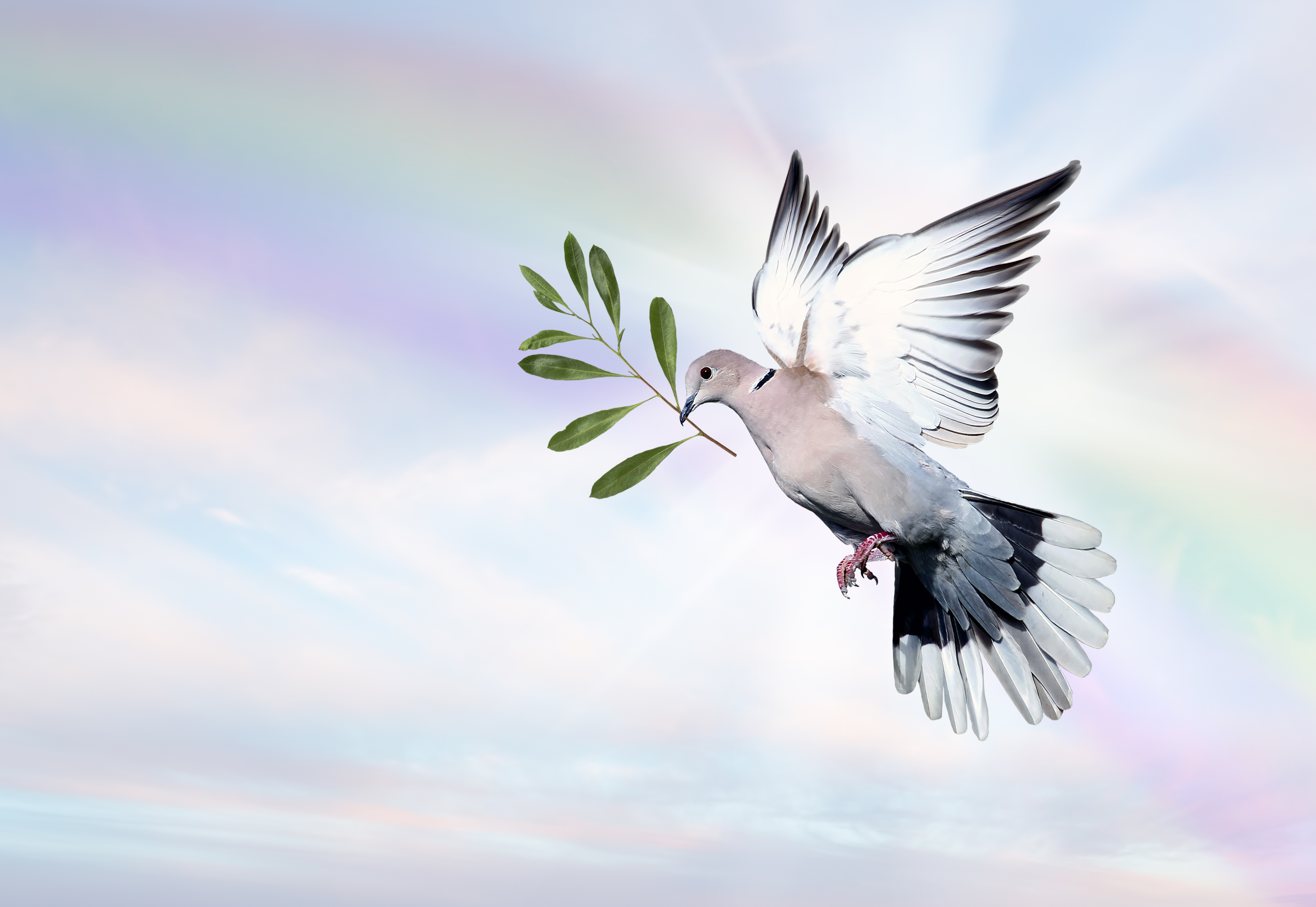World Peace 2025