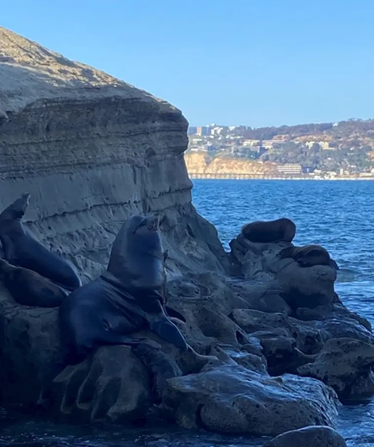Sealinwater_203