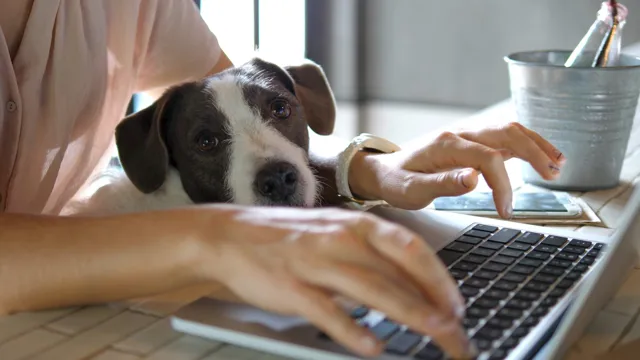 How Stay Motivated Working From Home