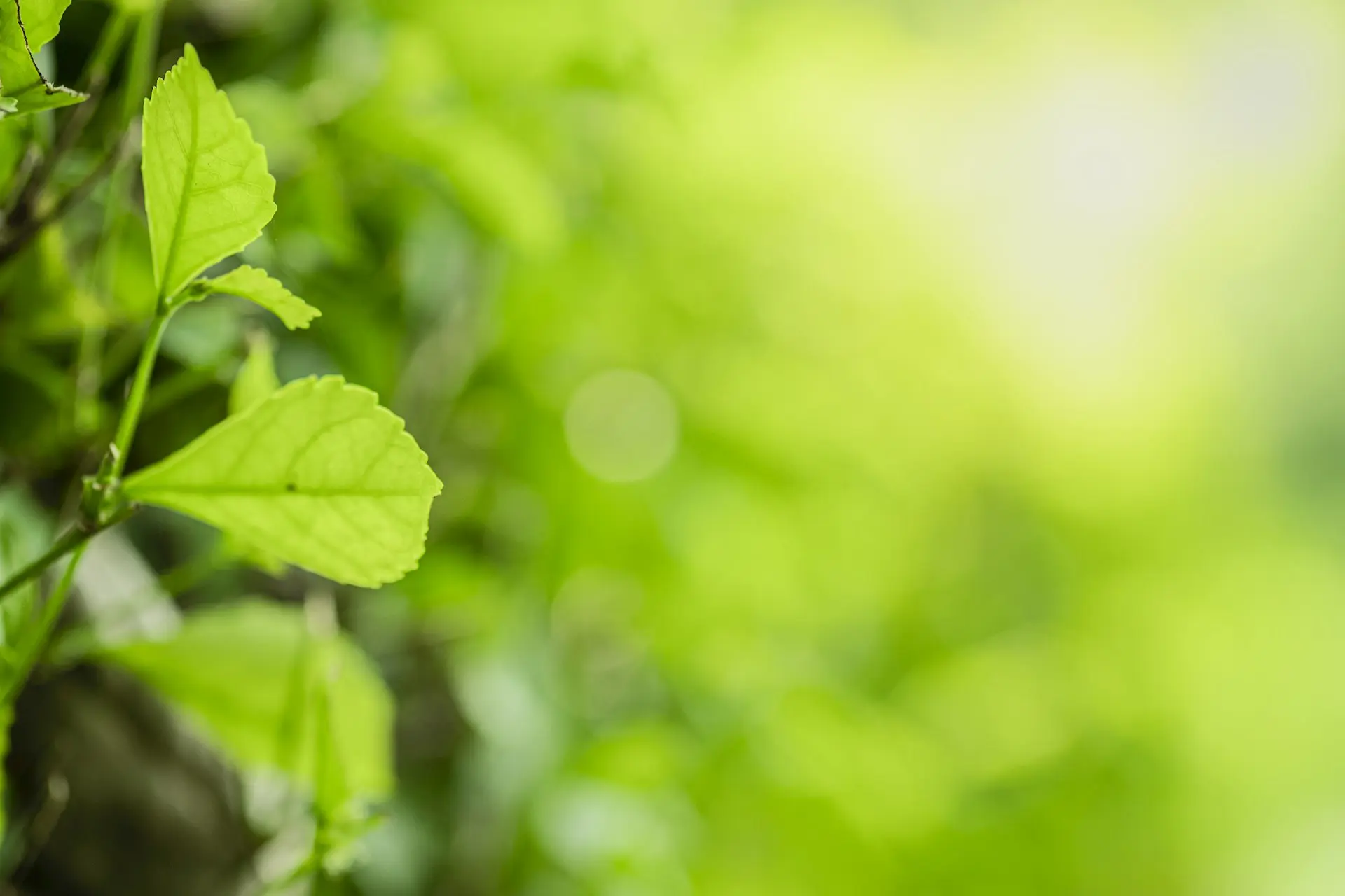 5 Environmental Science Careers With Travel Opportunities