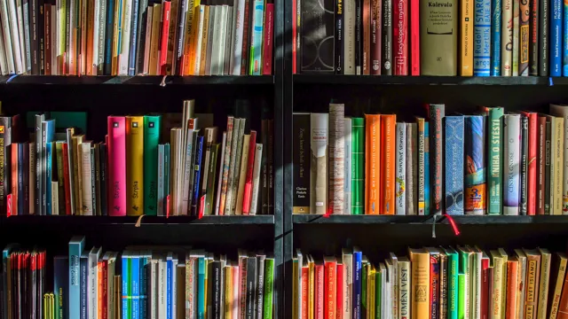 Books Bookstore Book Reading