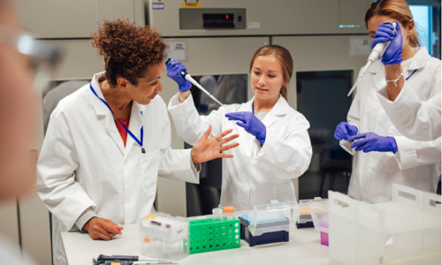 A group of students in a chemistry class